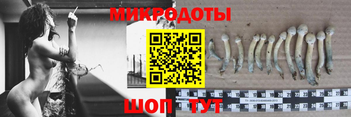 Псилоцибиновые грибы Cubensis  Галлюциногенные грибы мухоморы  Вход с VPN  где можно купить   Бузулук 